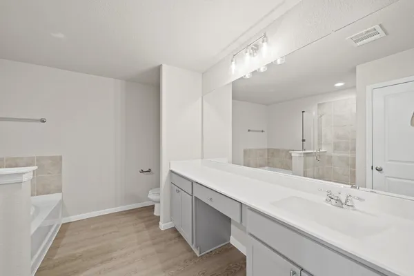 a bathroom with a sink a toilet and a mirror