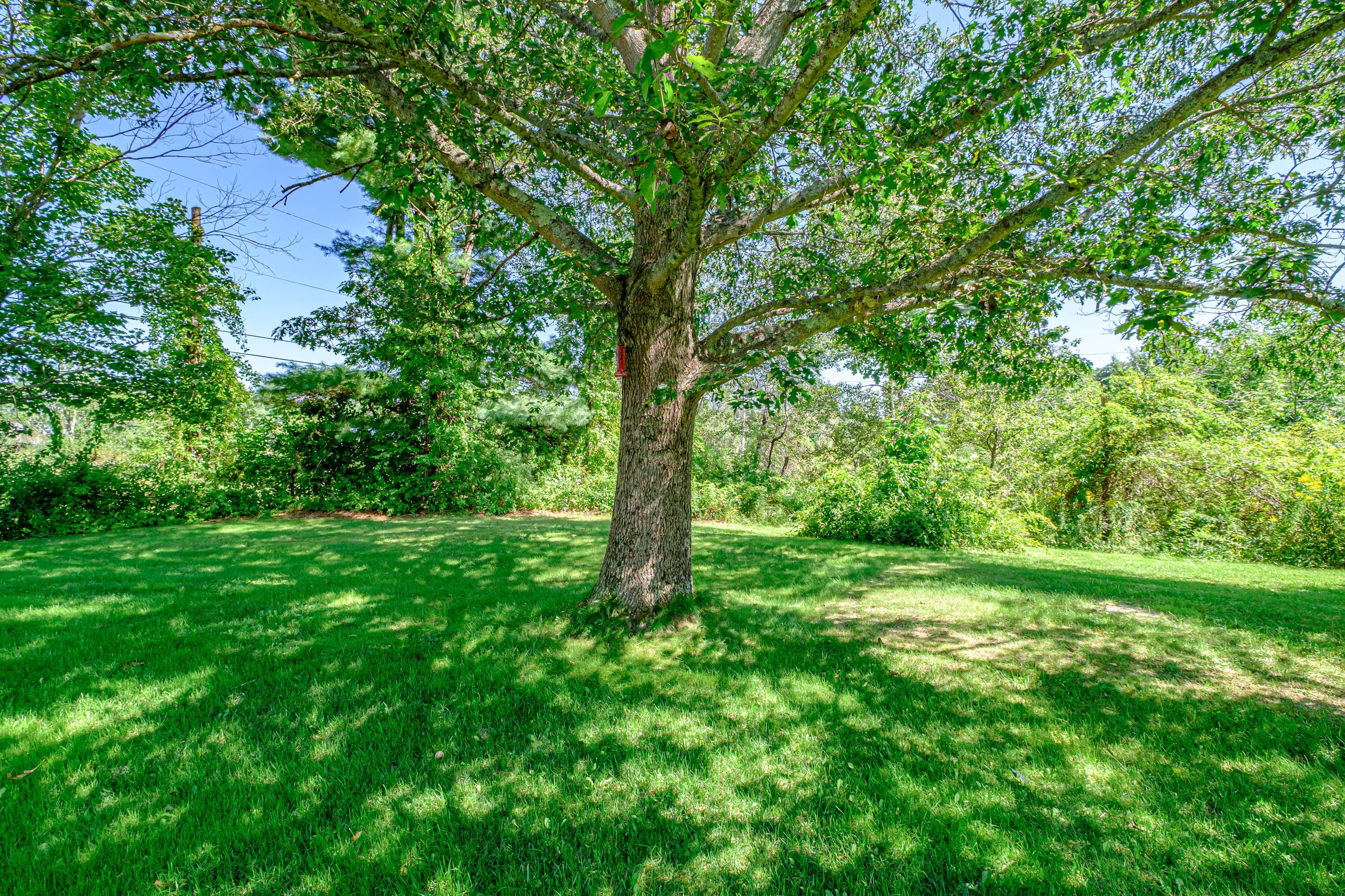 26 Lower Methodist Road Cumberland Center, ME 04021 - Photo 44 of 45 20230828gp-62054