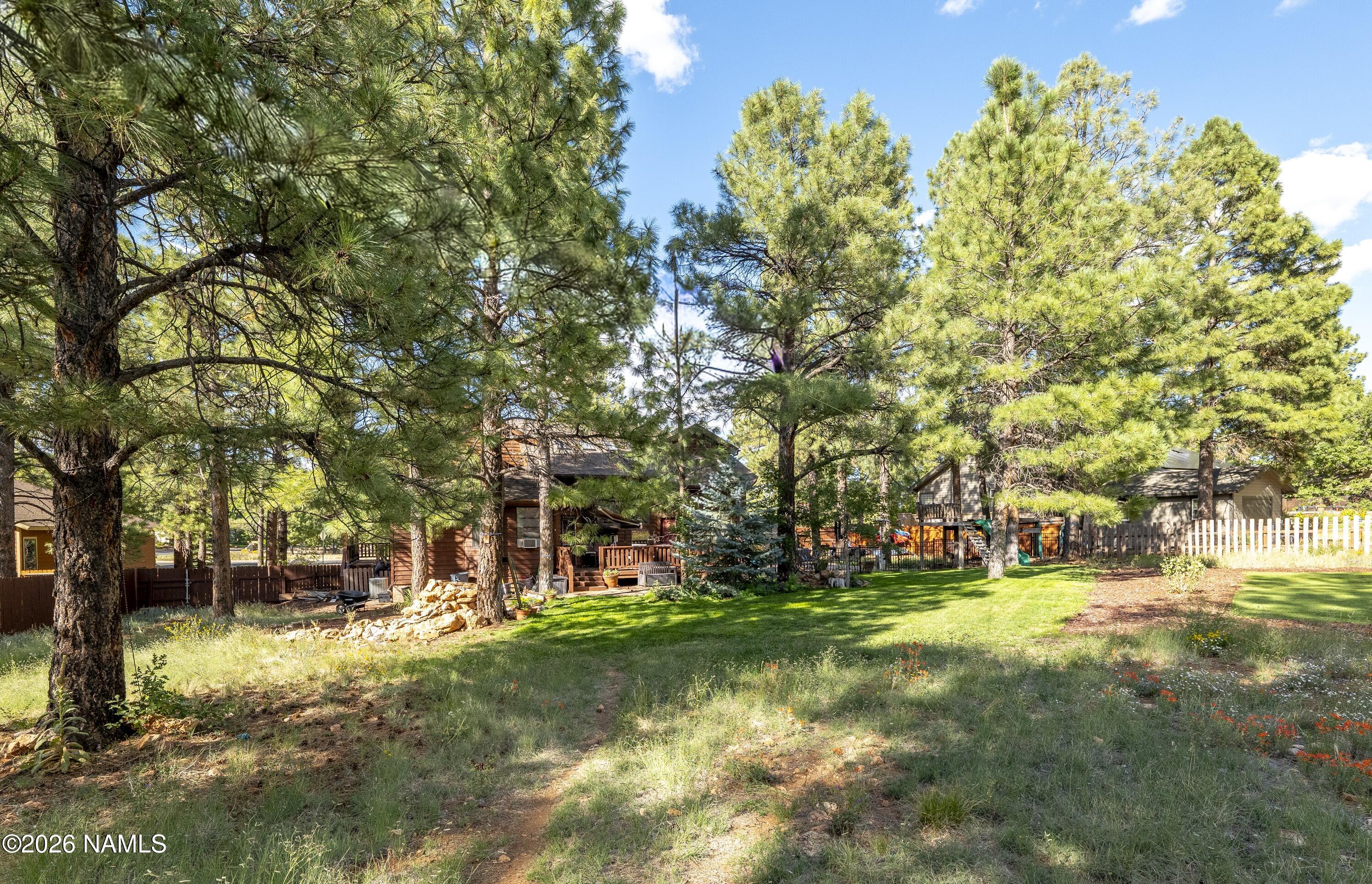 6135 East Abbey Road Flagstaff, AZ 86004 - Photo 39 of 48 Beautiful Yard