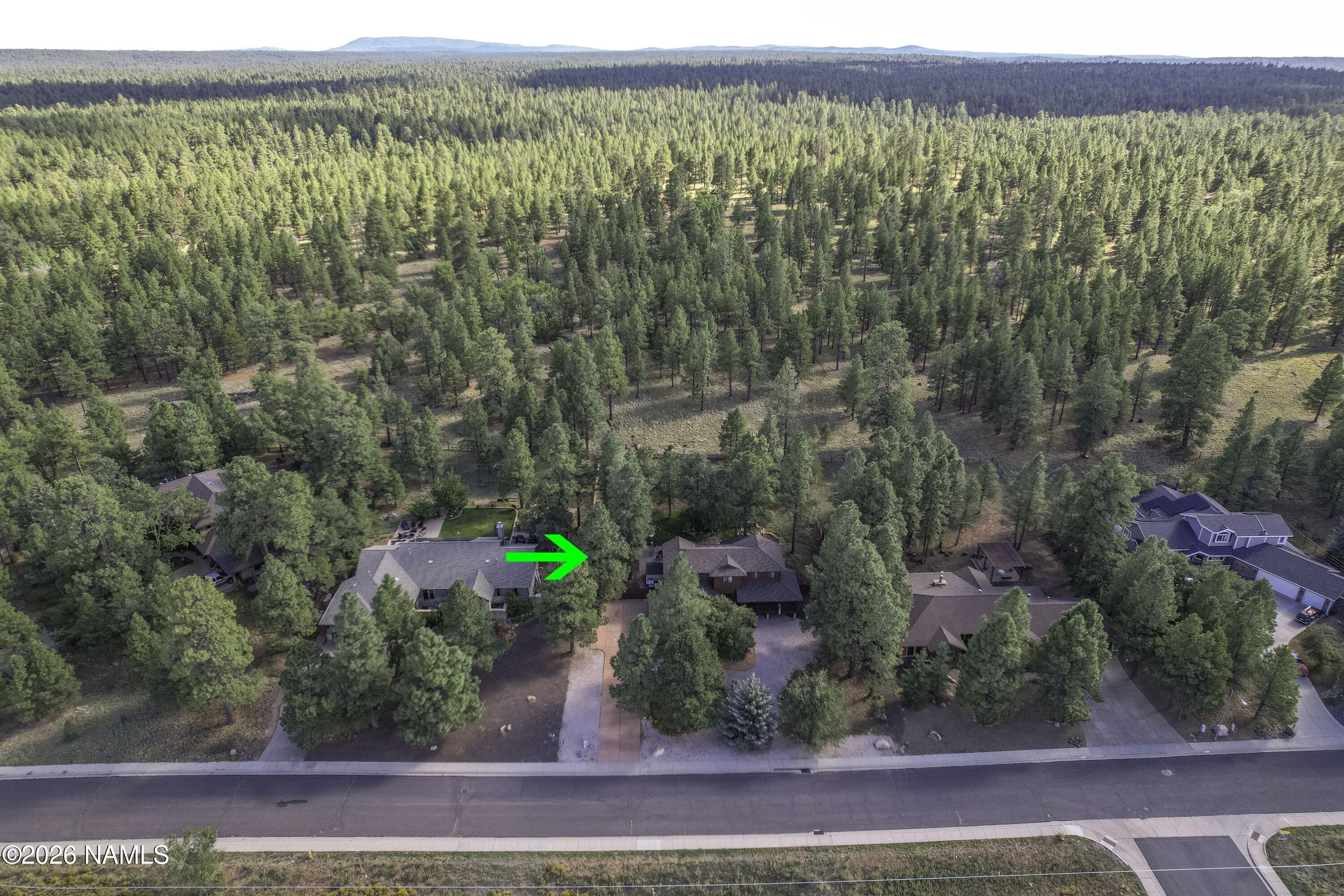 6135 East Abbey Road Flagstaff, AZ 86004 - Photo 5 of 48 Heavily Treed Lot