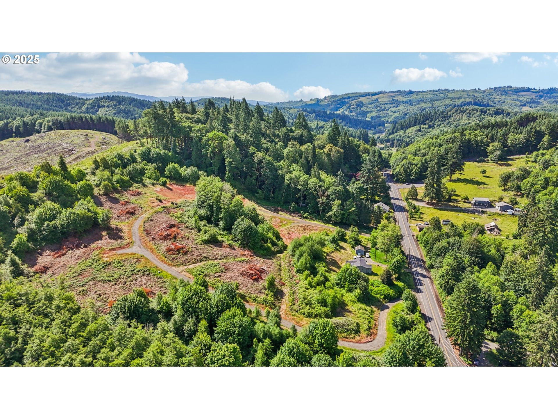 1830 Hazel Dell Road, Unit LOT 4 Castle Rock, WA 98611 - Photo 19 of 37 a view of a city