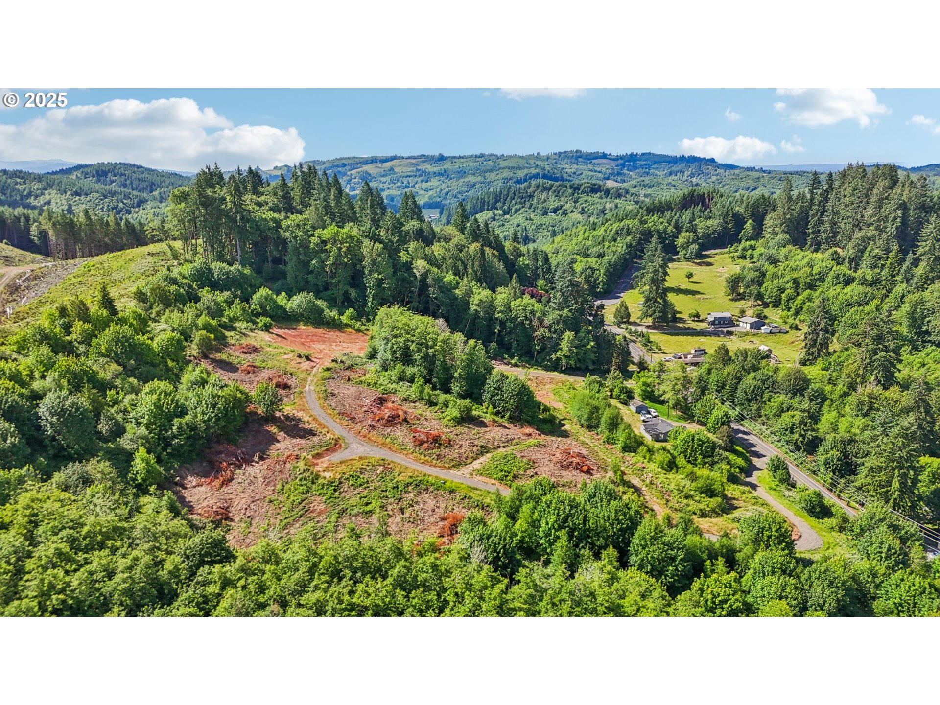 1830 Hazel Dell Road, Unit LOT 4 Castle Rock, WA 98611 - Photo 20 of 37 a open area with lots of green plants and mountain view