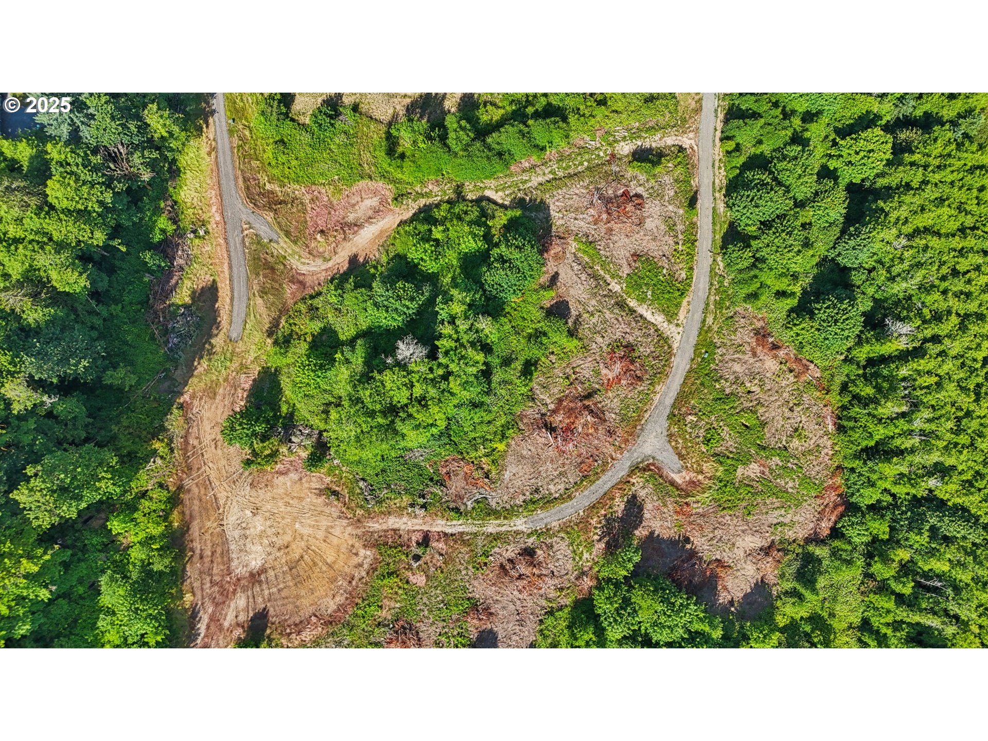1830 Hazel Dell Road, Unit LOT 4 Castle Rock, WA 98611 - Photo 27 of 37 a black and white photo of a garden