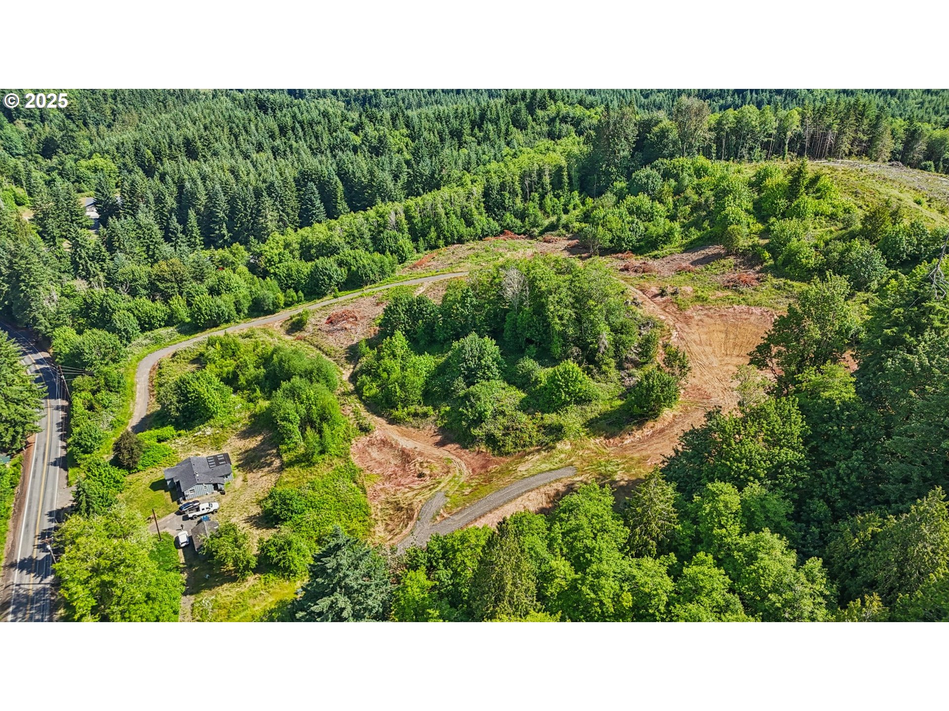 1830 Hazel Dell Road, Unit LOT 4 Castle Rock, WA 98611 - Photo 31 of 37 a open area with lots of green bushes