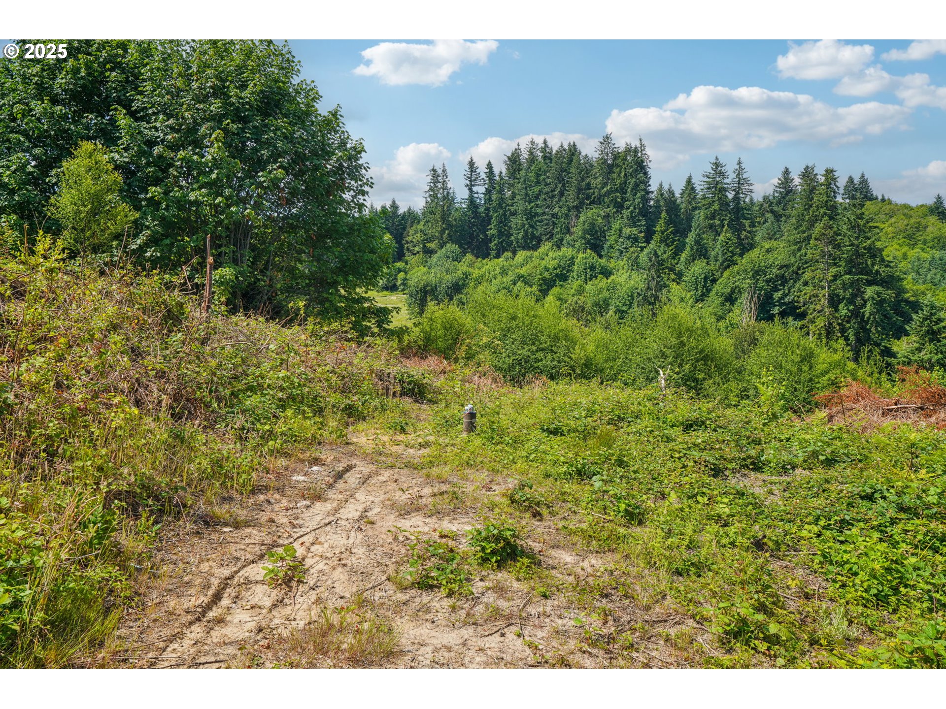 1830 Hazel Dell Road, Unit LOT 4 Castle Rock, WA 98611 - Photo 5 of 37 a view of a back yard of a building