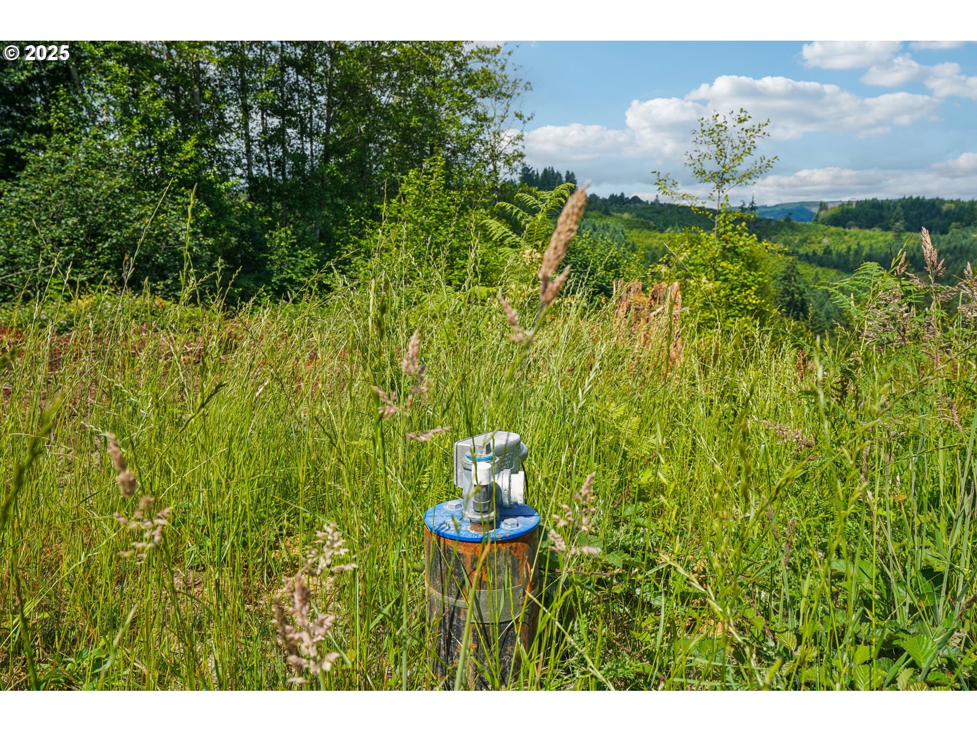1830 Hazel Dell Road, Unit LOT 4 Castle Rock, WA 98611 - Photo 6 of 37 a vase of flowers sitting on a table