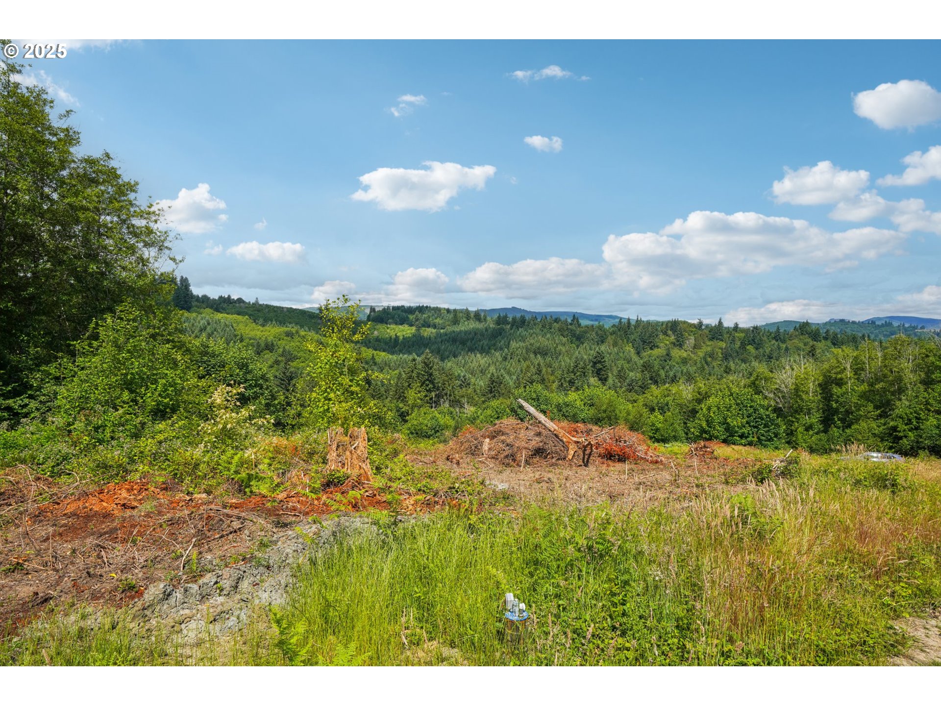 1830 Hazel Dell Road, Unit LOT 4 Castle Rock, WA 98611 - Photo 7 of 37 a view of an outdoor space and yard