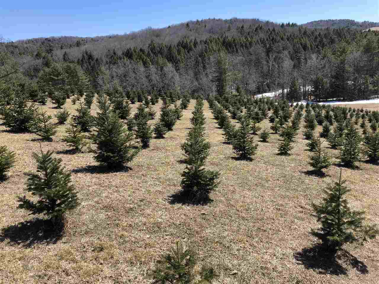 286 Jenneville Road Hartland, VT 05089 - Photo 3 of 40