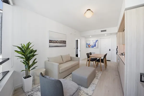 a living room with furniture and a potted plant