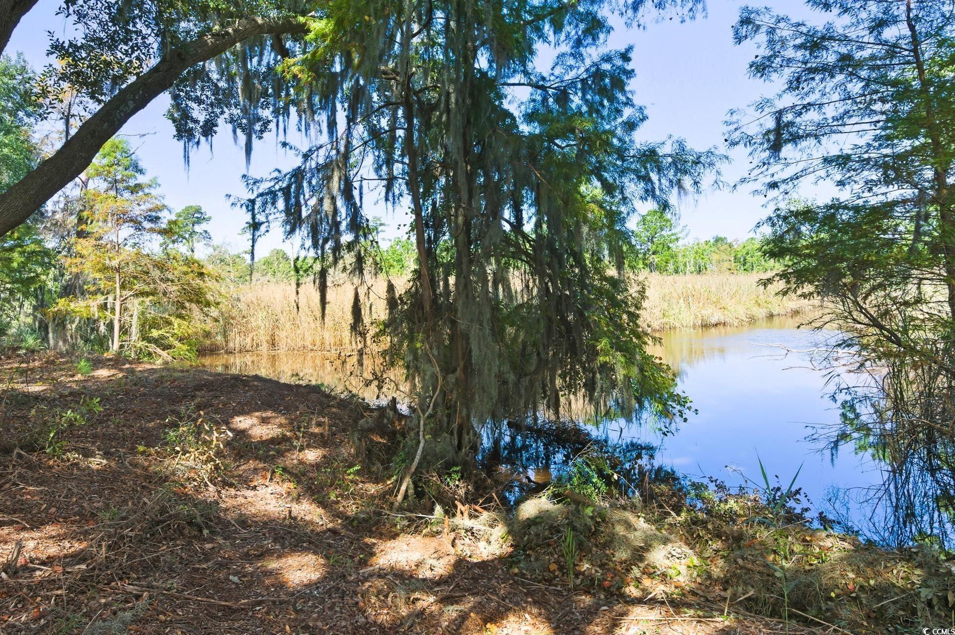 Lot 5 Whitehall Avenue Georgetown, SC 29440 - Photo 11 of 20