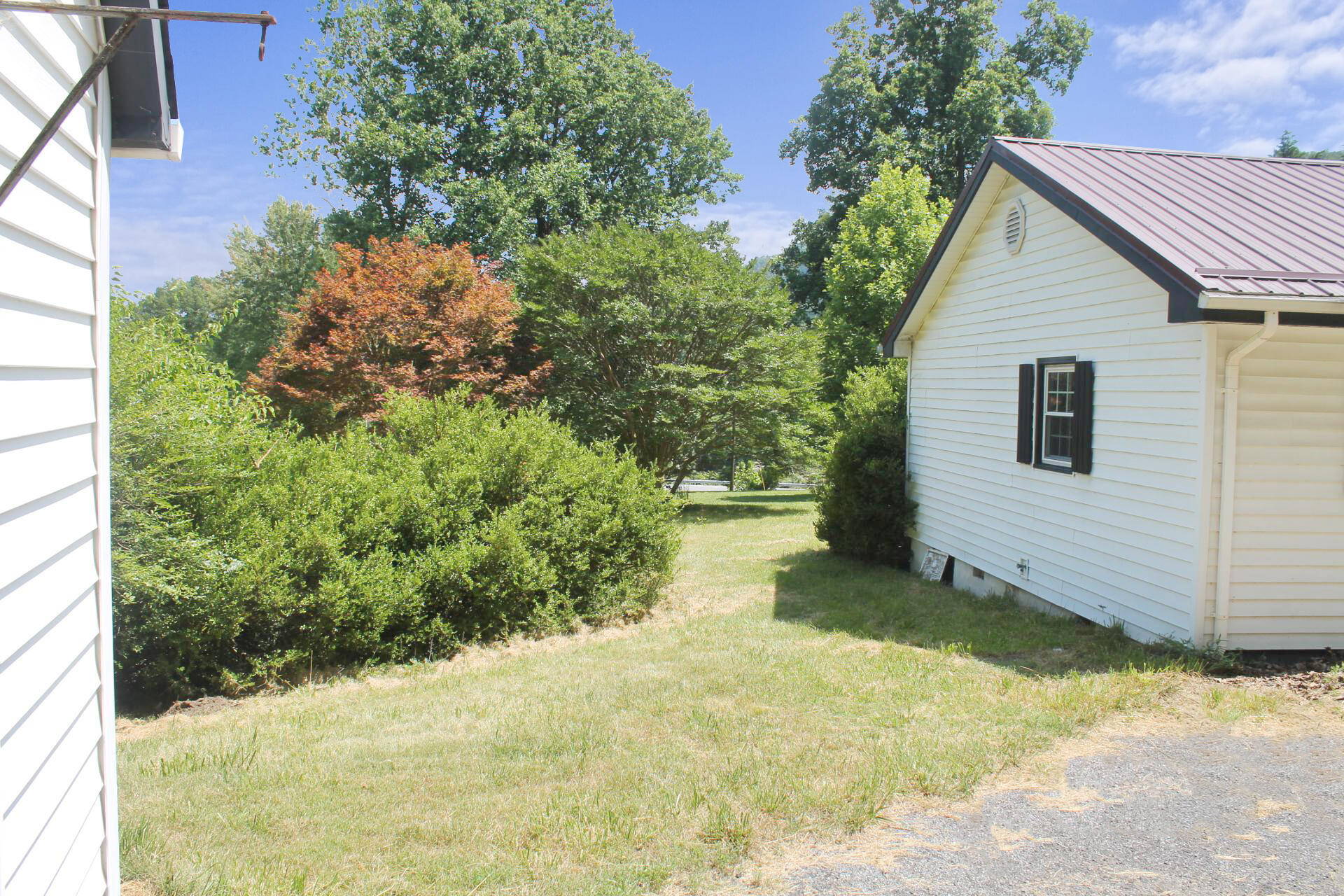 1062 Quartz Road Blue Ridge, VA 24064 - Photo 6 of 26 a view of a backyard with plants and large tree