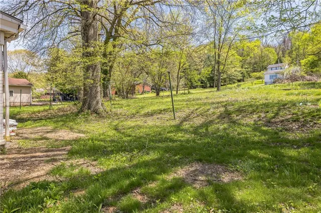 a view of yard with trees