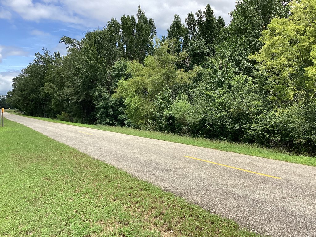 204691 Suggs Road Headland, AL 36345 - Photo 7 of 14