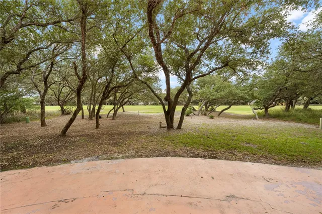a view of a yard with plants and trees