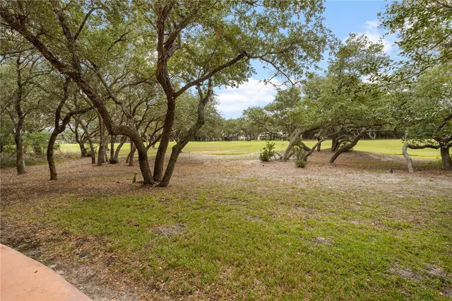 a view of yard with tree