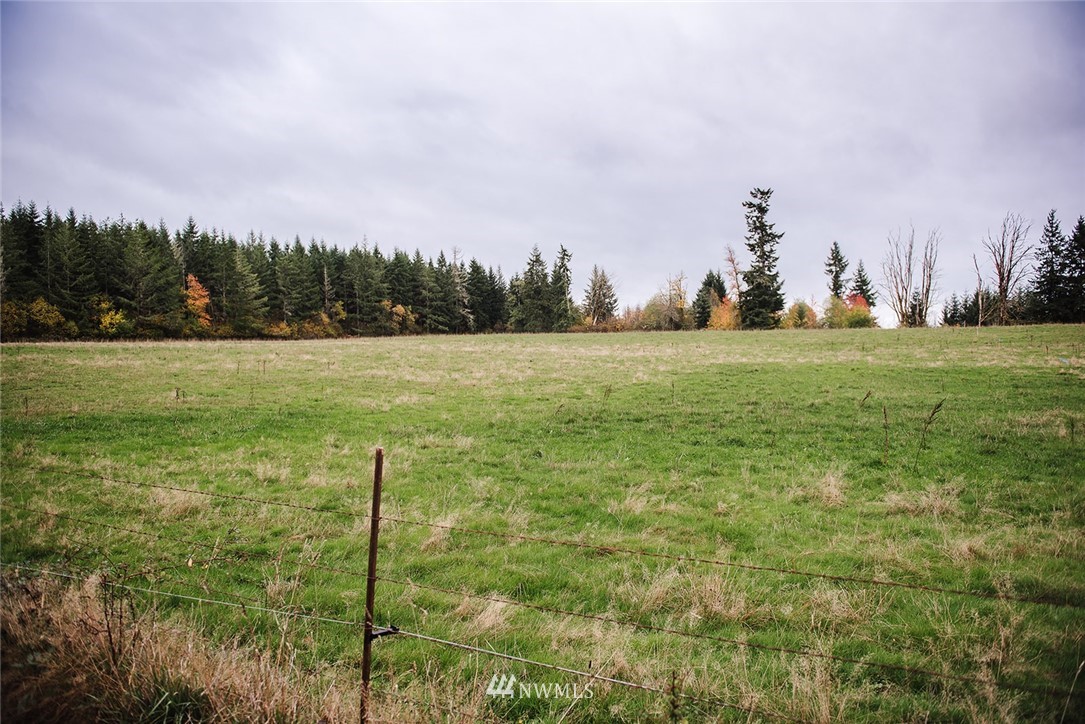 6 Oppelt Road Chehalis, WA 98532 - Photo 1 of 5 a view of a field with an trees in the background