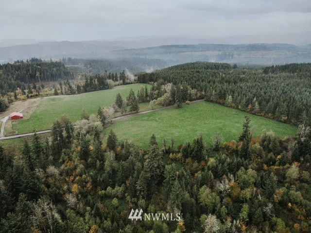 6 Oppelt Road Chehalis, WA 98532 - Photo 5 of 5 a view of a lush green outdoor space with a lake view and mountain view