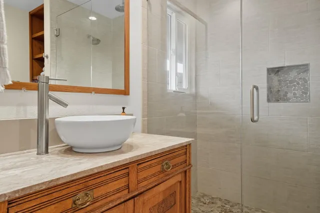 a view of a yard with plants and trees