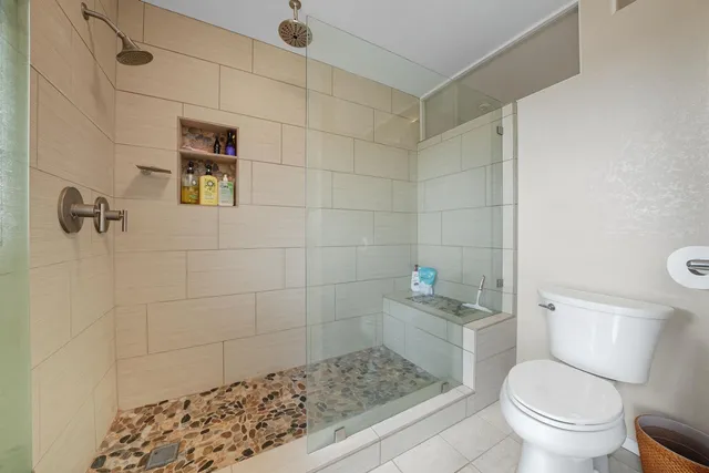 a view of a yard with plants and large trees