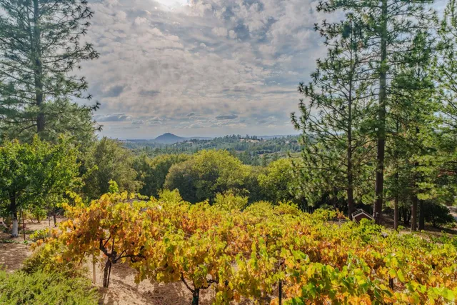 an aerial view of a house with yard swimming pool and outdoor seating