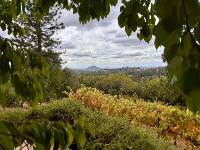 $639,000 | 10285 Ponderosa Way, Jackson, CA 95642