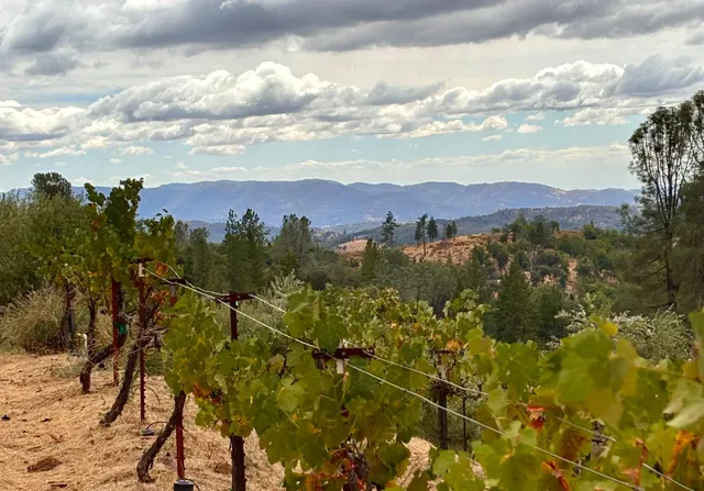 $639,000 | 10285 Ponderosa Way, Jackson, CA 95642