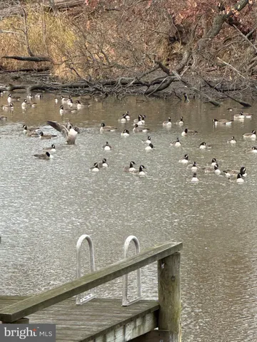 an aerial view of residential building and lake