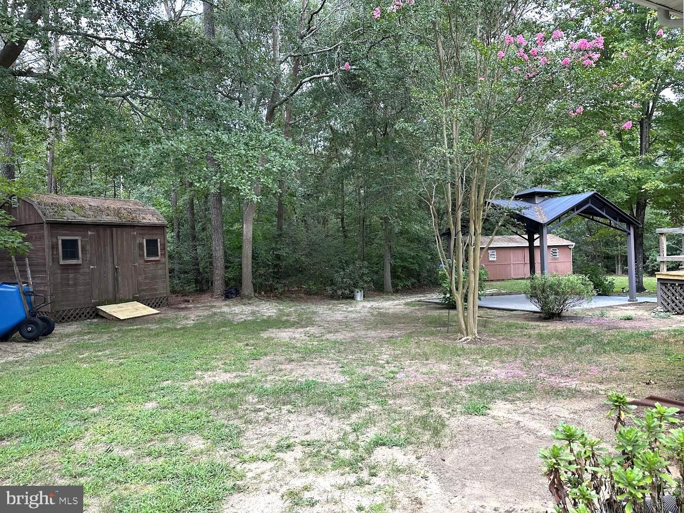 30844 River Road Laurel, DE 19956 - Photo 4 of 98 Backyard View