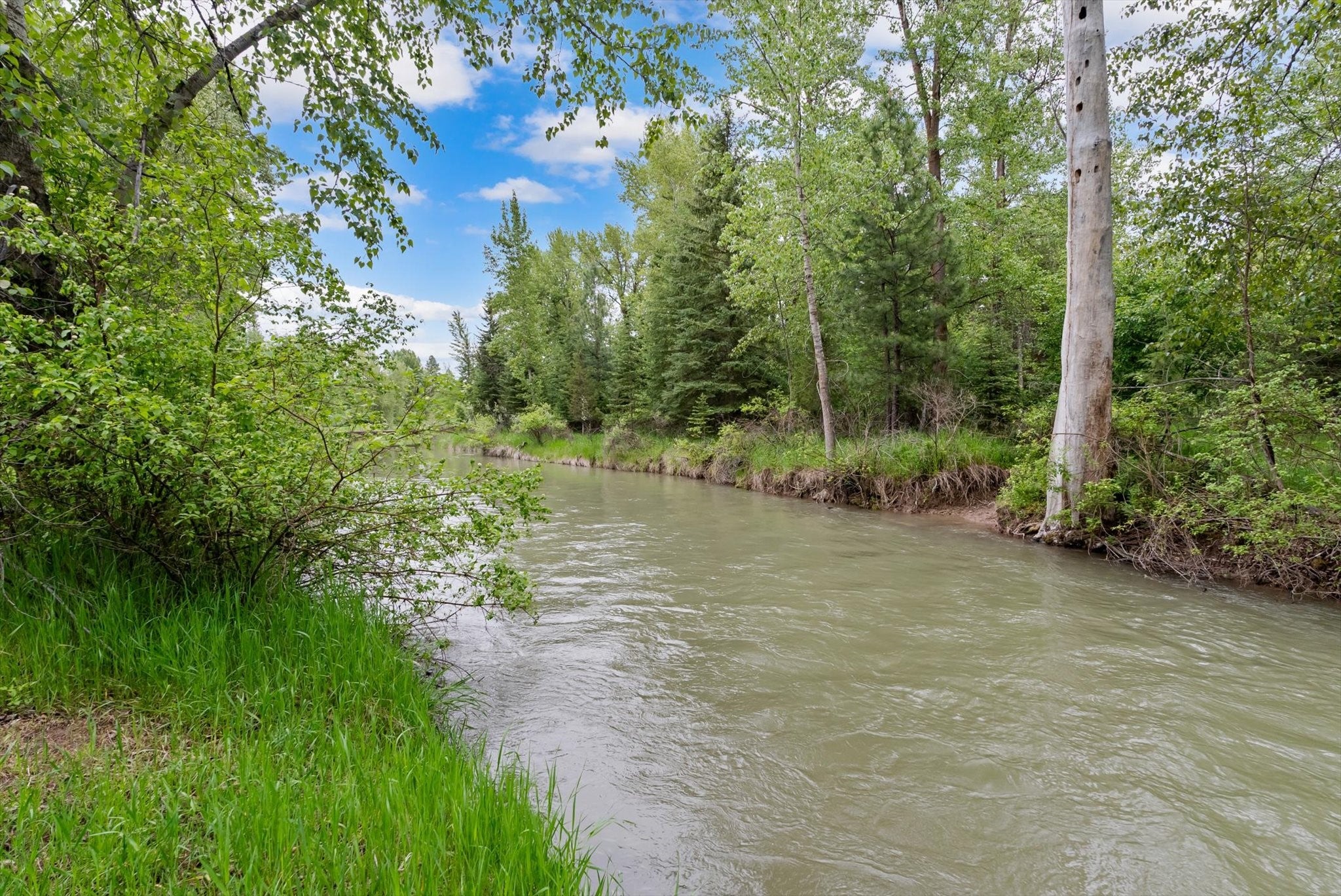 1177 Jellison Road Columbia Falls, MT 59912 - Photo 1 of 1 Gallery Image 1