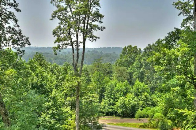 126 High Point Trail Blue Ridge, GA 30513 - Photo 28 of 28 Gallery Image 28