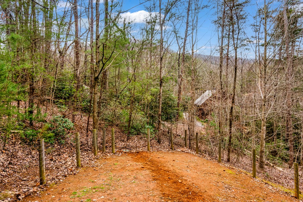 3680 Aska Road Blue Ridge, GA 30513 - Photo 34 of 42 Gallery Image 34