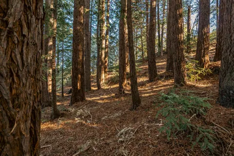 $1,565,000 | 1130 Hidden Valley Road, Soquel, CA 95073