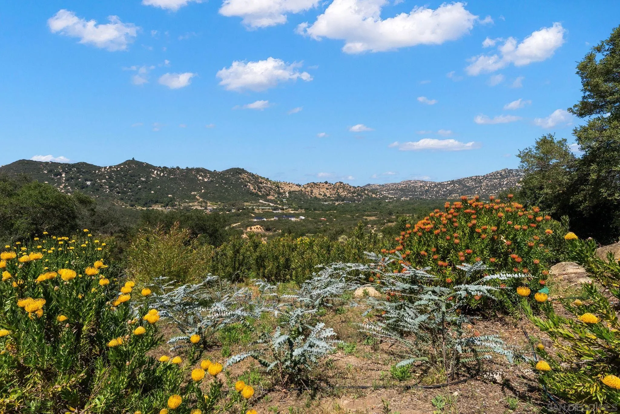 7051 Mt Olympus Road Fallbrook, CA 92028 - Photo 47 of 48 Gallery Image 47