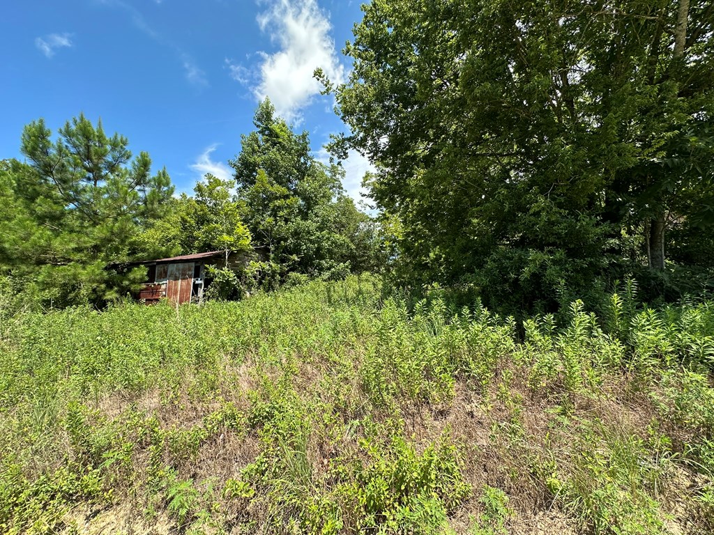 250 Adams Mill Road Clayton, AL 36016 - Photo 20 of 74