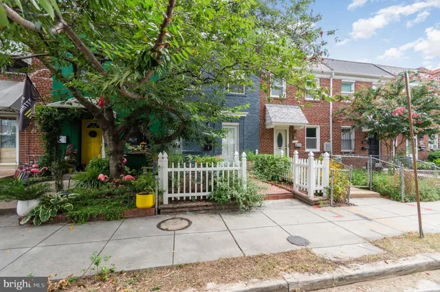 a view of a house with a small yard plants and large tree