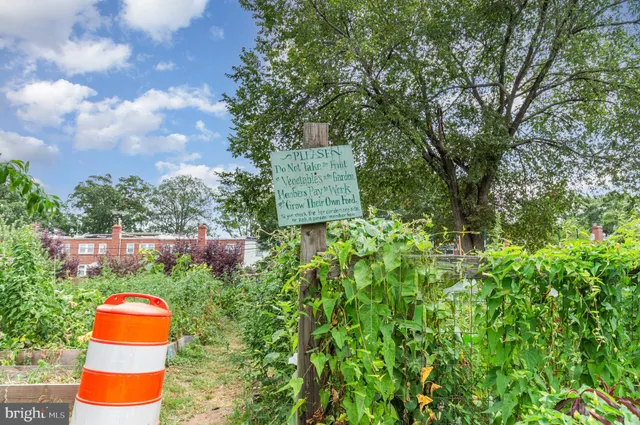 a bird view of house and yard