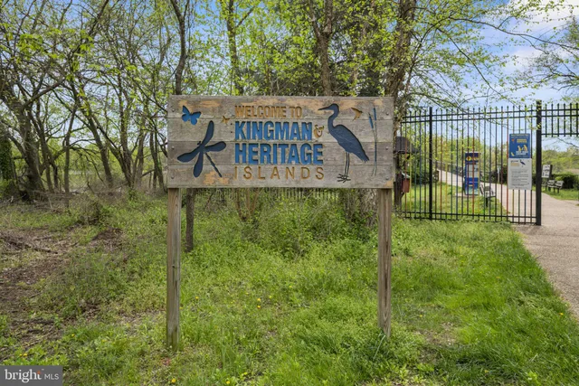 a view of a garden with a bench