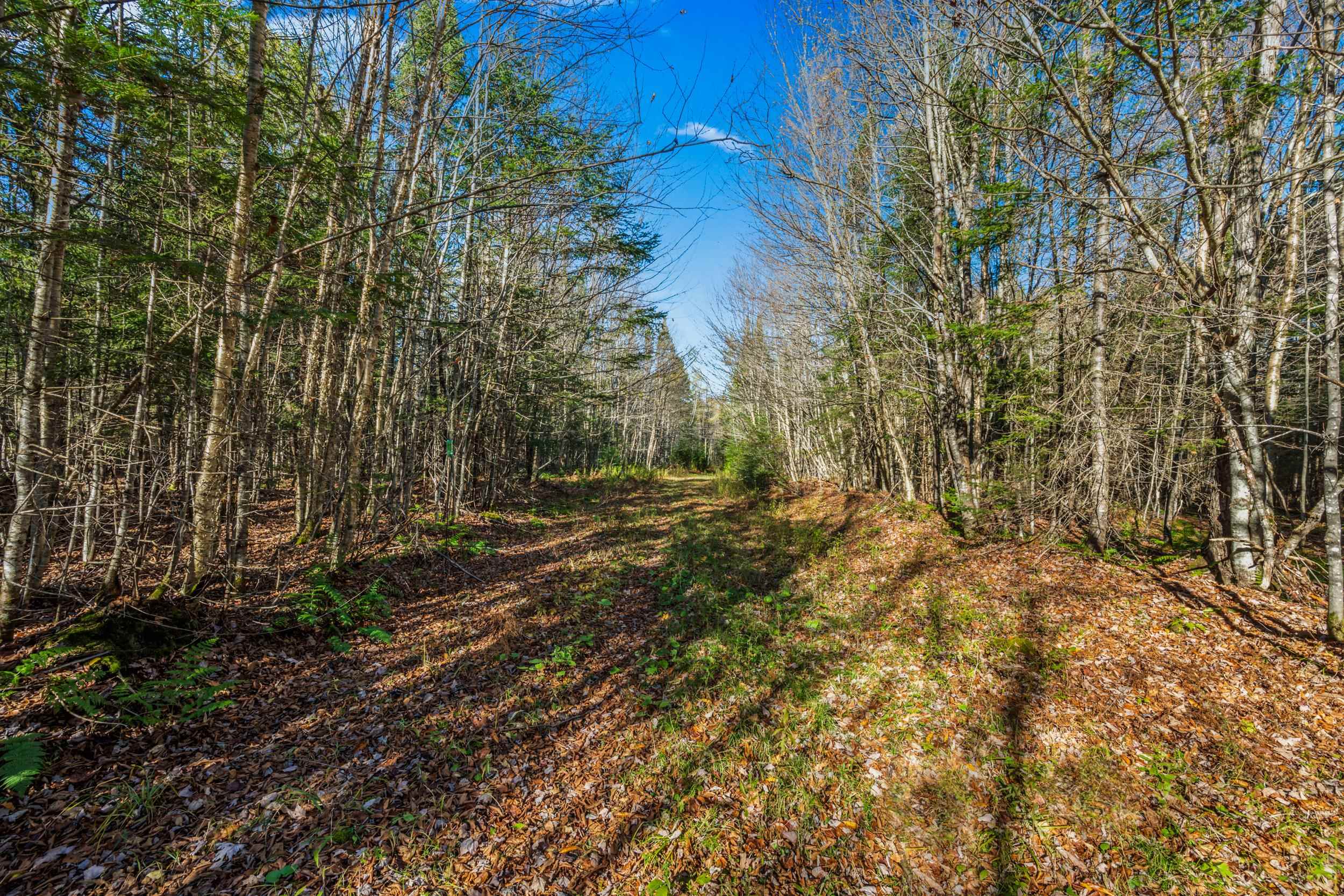 986 Summerhill Road Walden, VT 05843 - Photo 1 of 31 Gallery Image 1