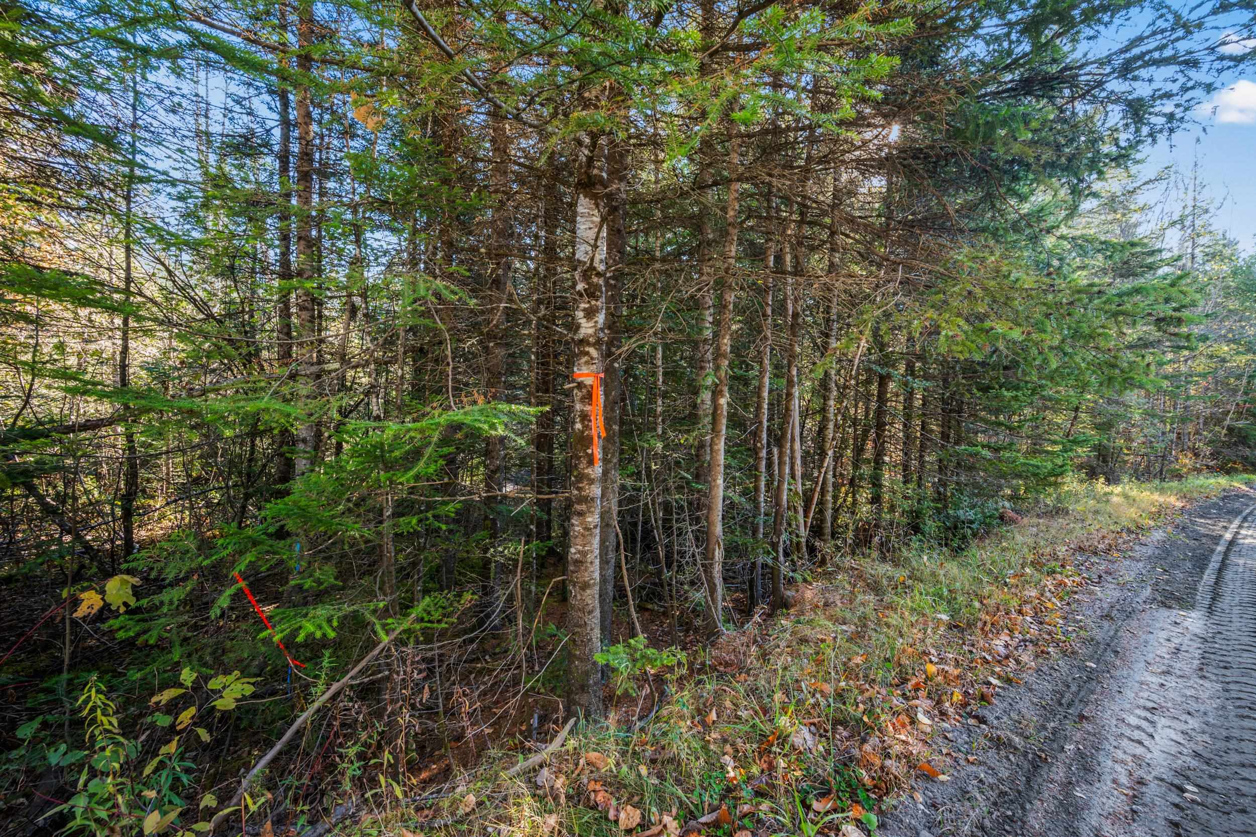 986 Summerhill Road Walden, VT 05843 - Photo 11 of 31 Gallery Image 11