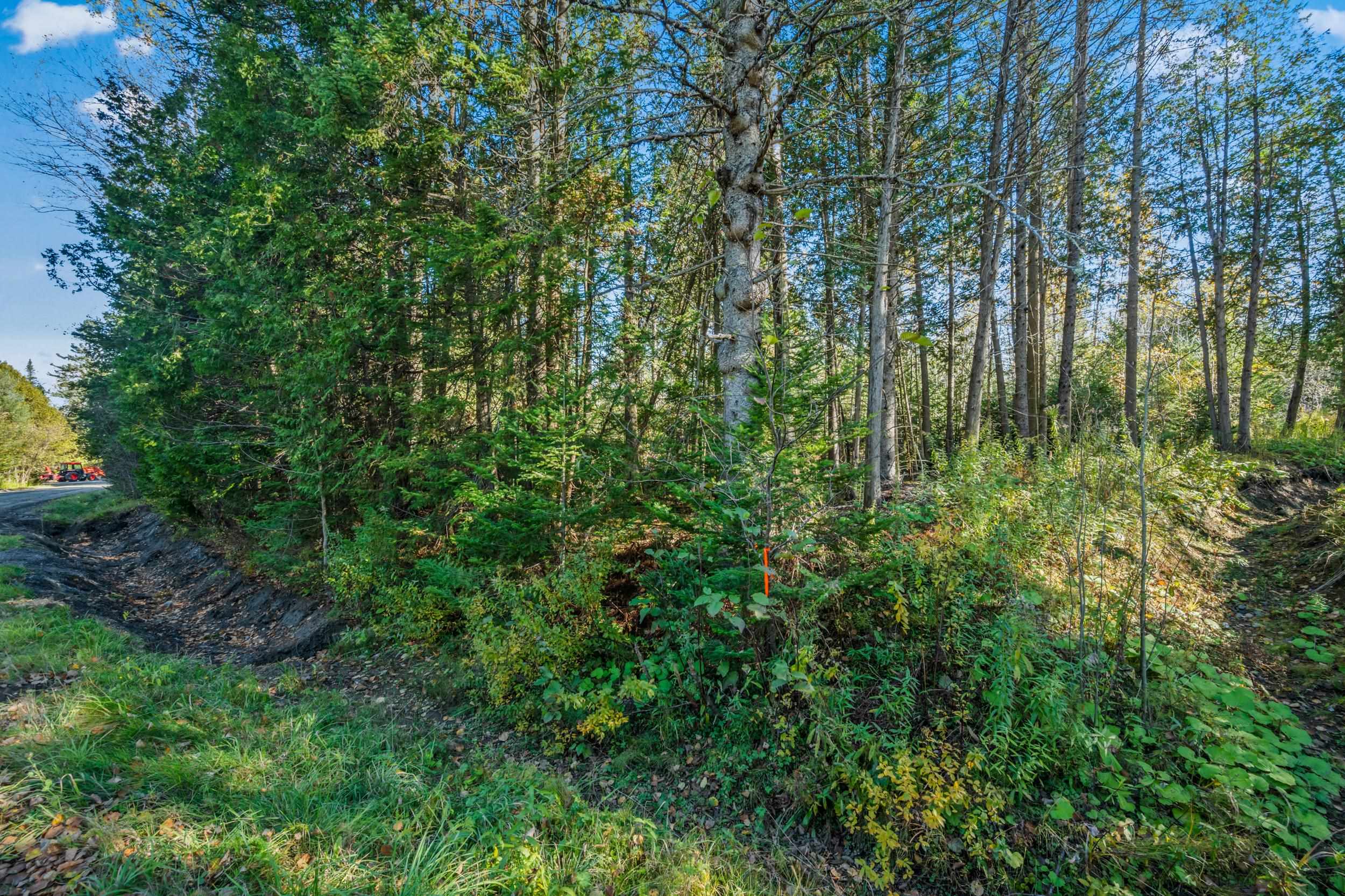 986 Summerhill Road Walden, VT 05843 - Photo 14 of 31 Gallery Image 14