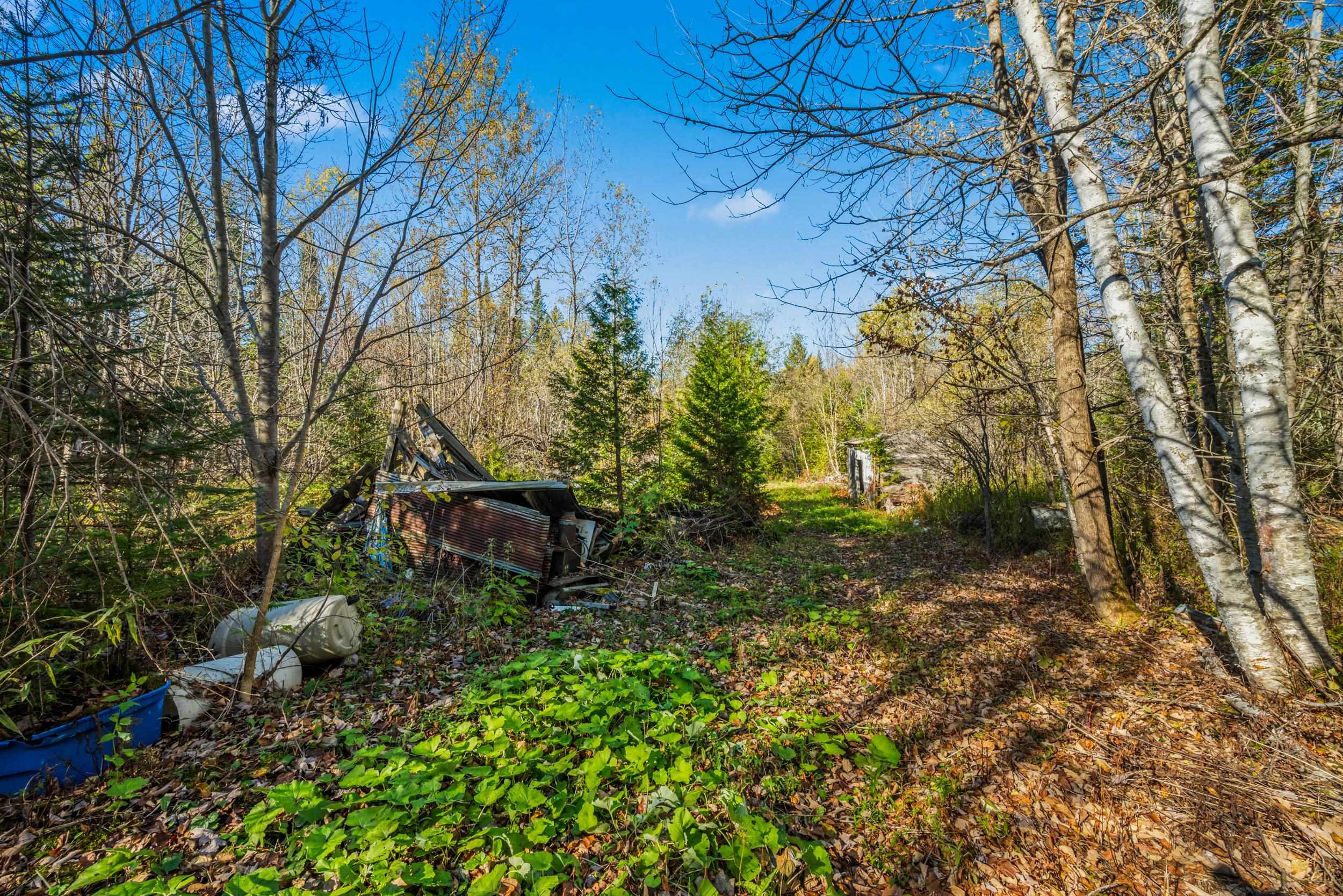 986 Summerhill Road Walden, VT 05843 - Photo 15 of 31 Gallery Image 15