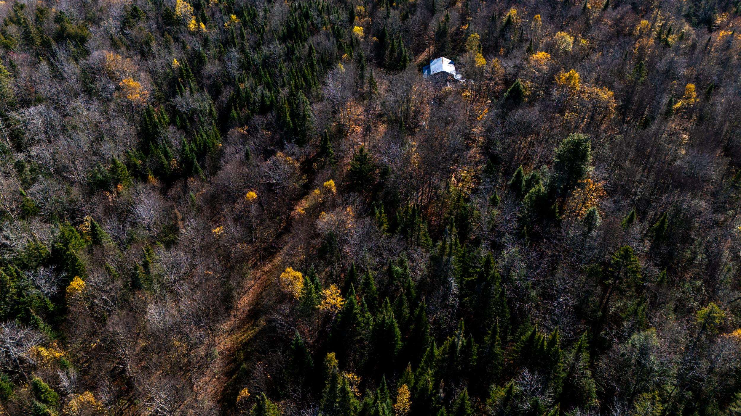 986 Summerhill Road Walden, VT 05843 - Photo 23 of 31 Gallery Image 23