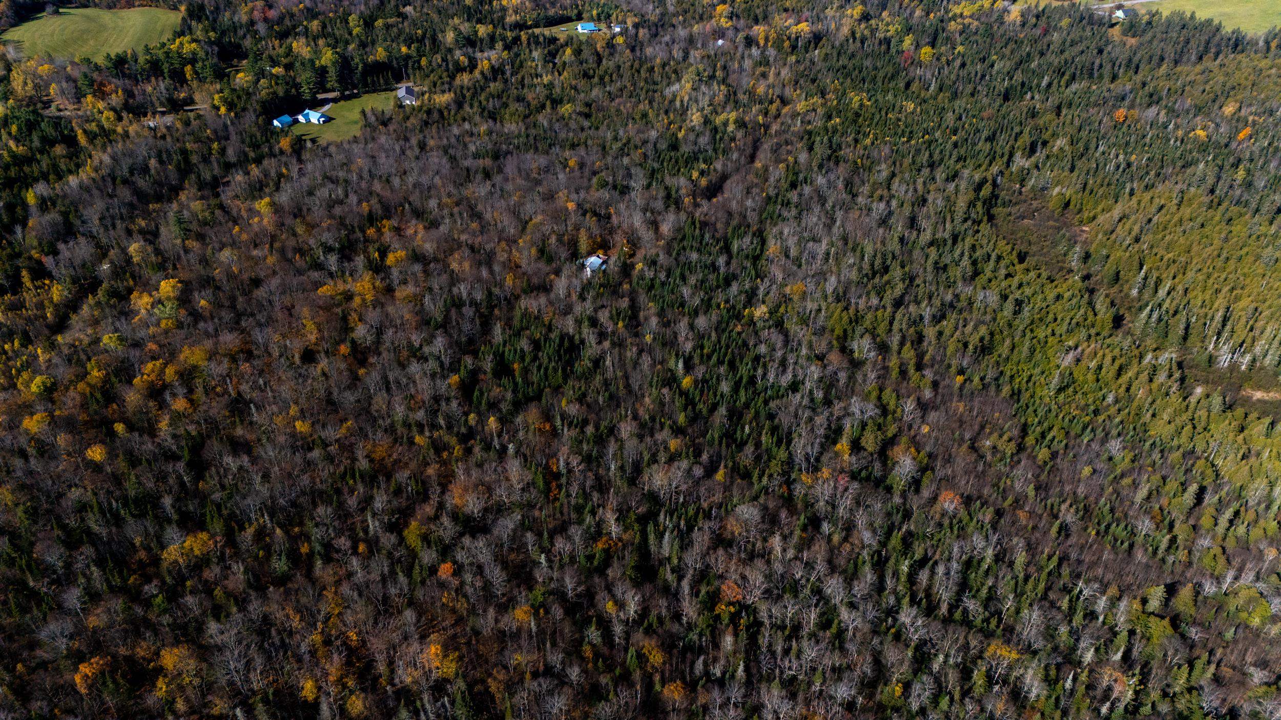 986 Summerhill Road Walden, VT 05843 - Photo 25 of 31 Gallery Image 25