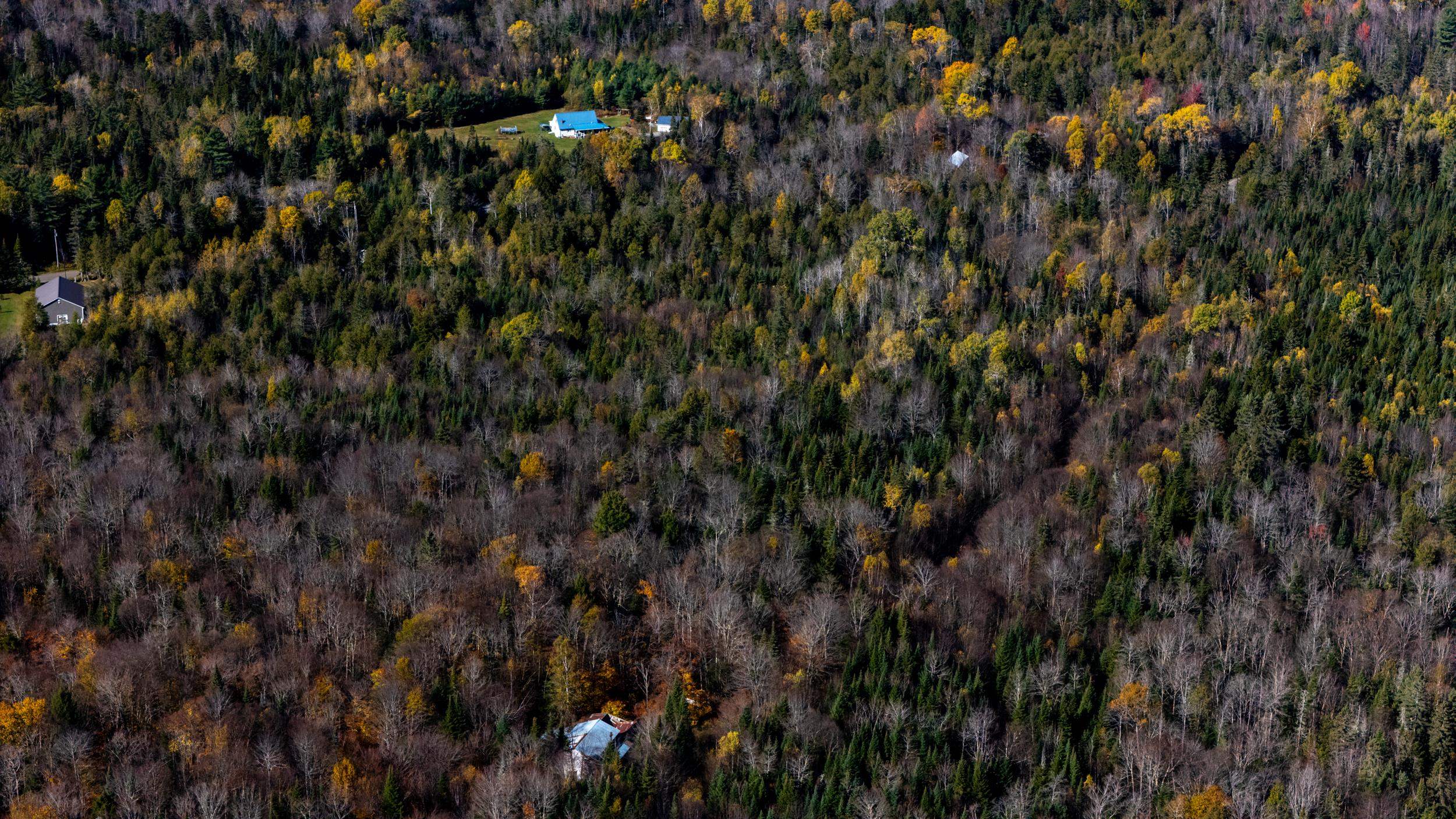 986 Summerhill Road Walden, VT 05843 - Photo 26 of 31 Gallery Image 26