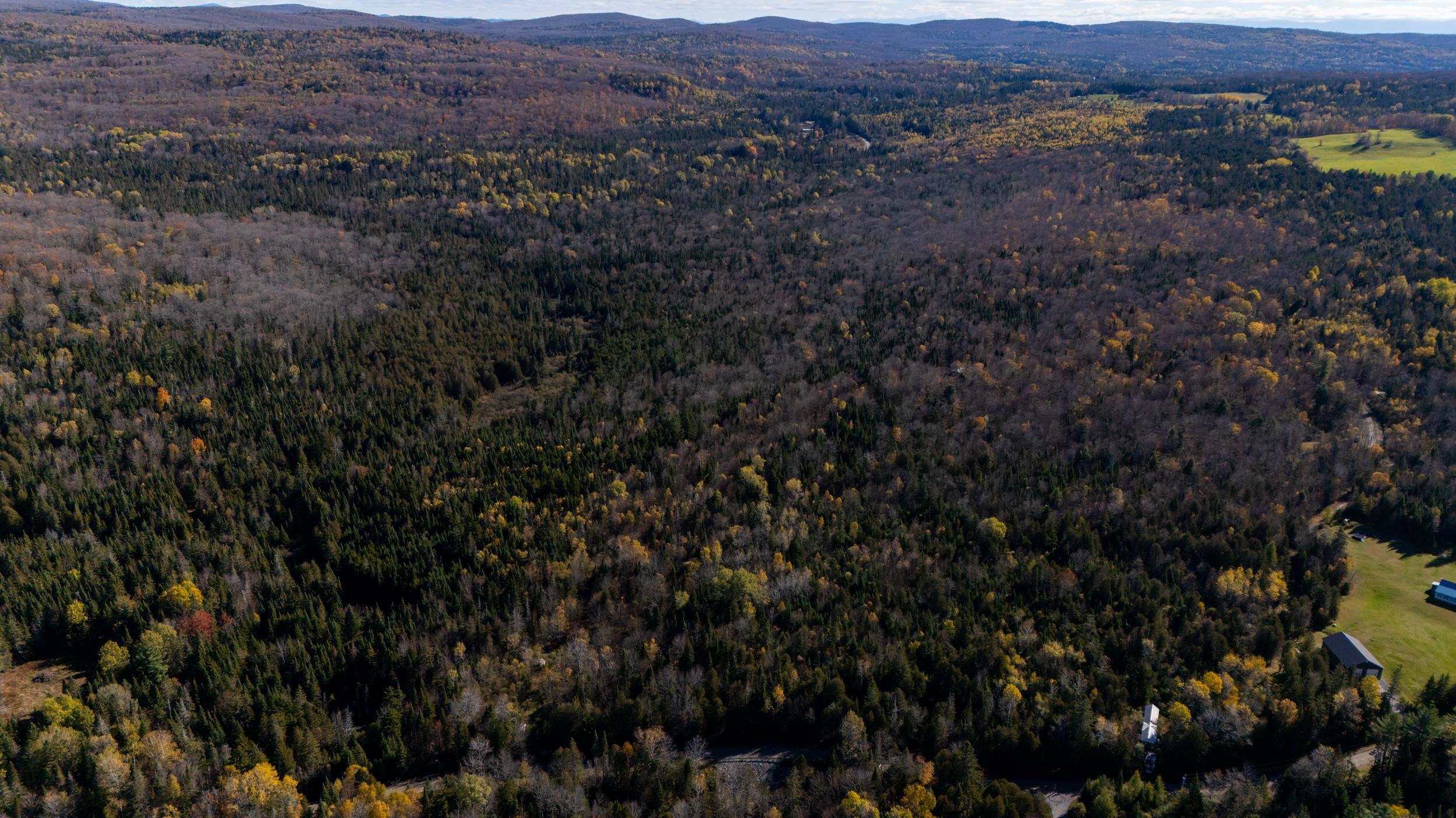 986 Summerhill Road Walden, VT 05843 - Photo 3 of 31 Gallery Image 3