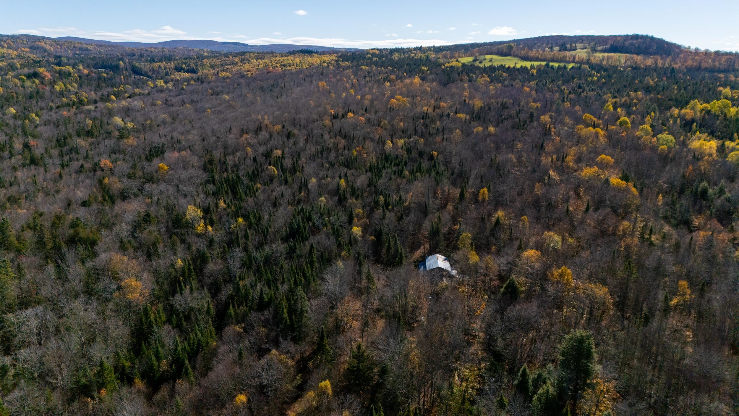 986 Summerhill Road Walden, VT 05843 - Photo 4 of 31 Gallery Image 4