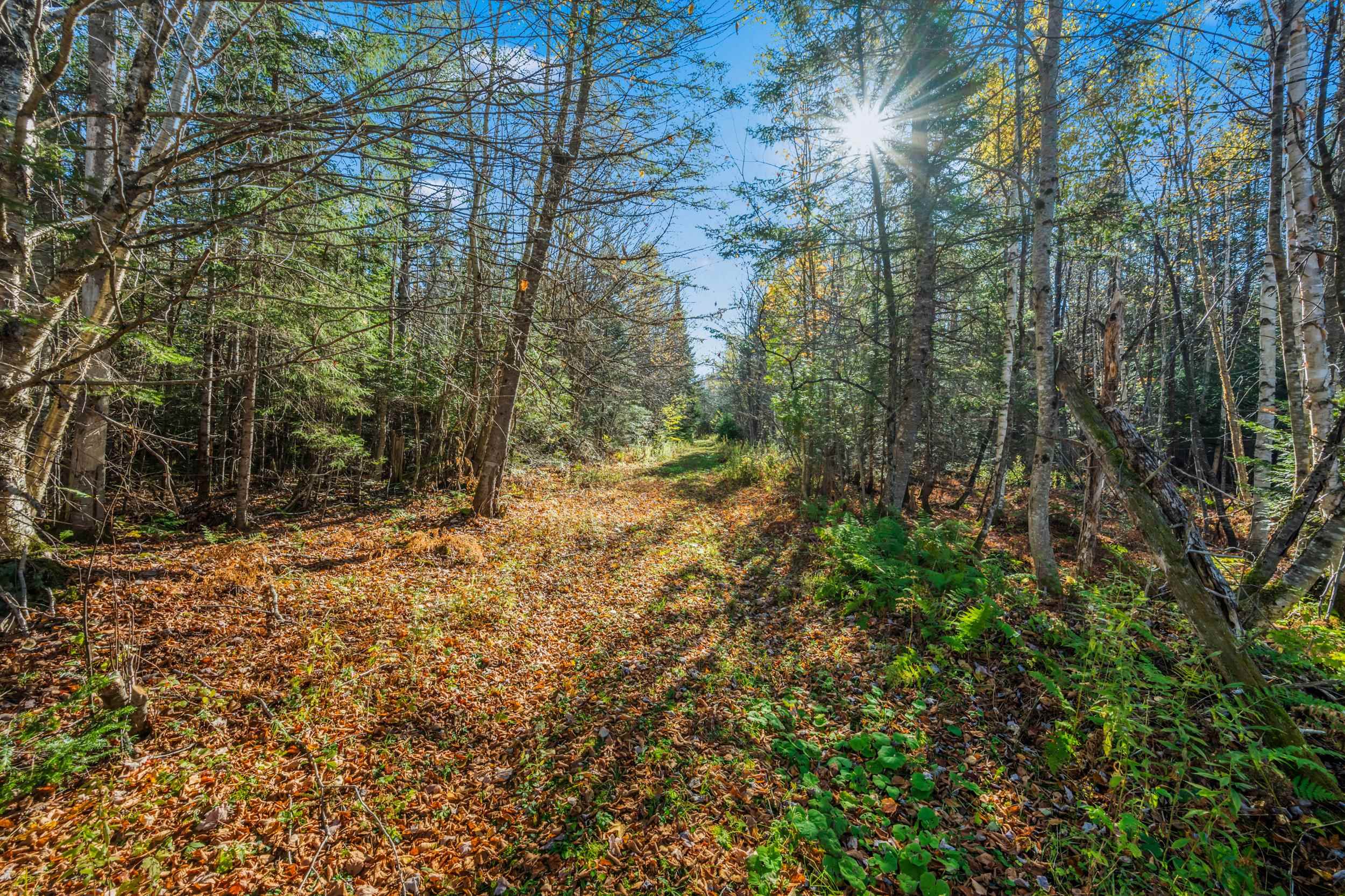 986 Summerhill Road Walden, VT 05843 - Photo 6 of 31 Gallery Image 6