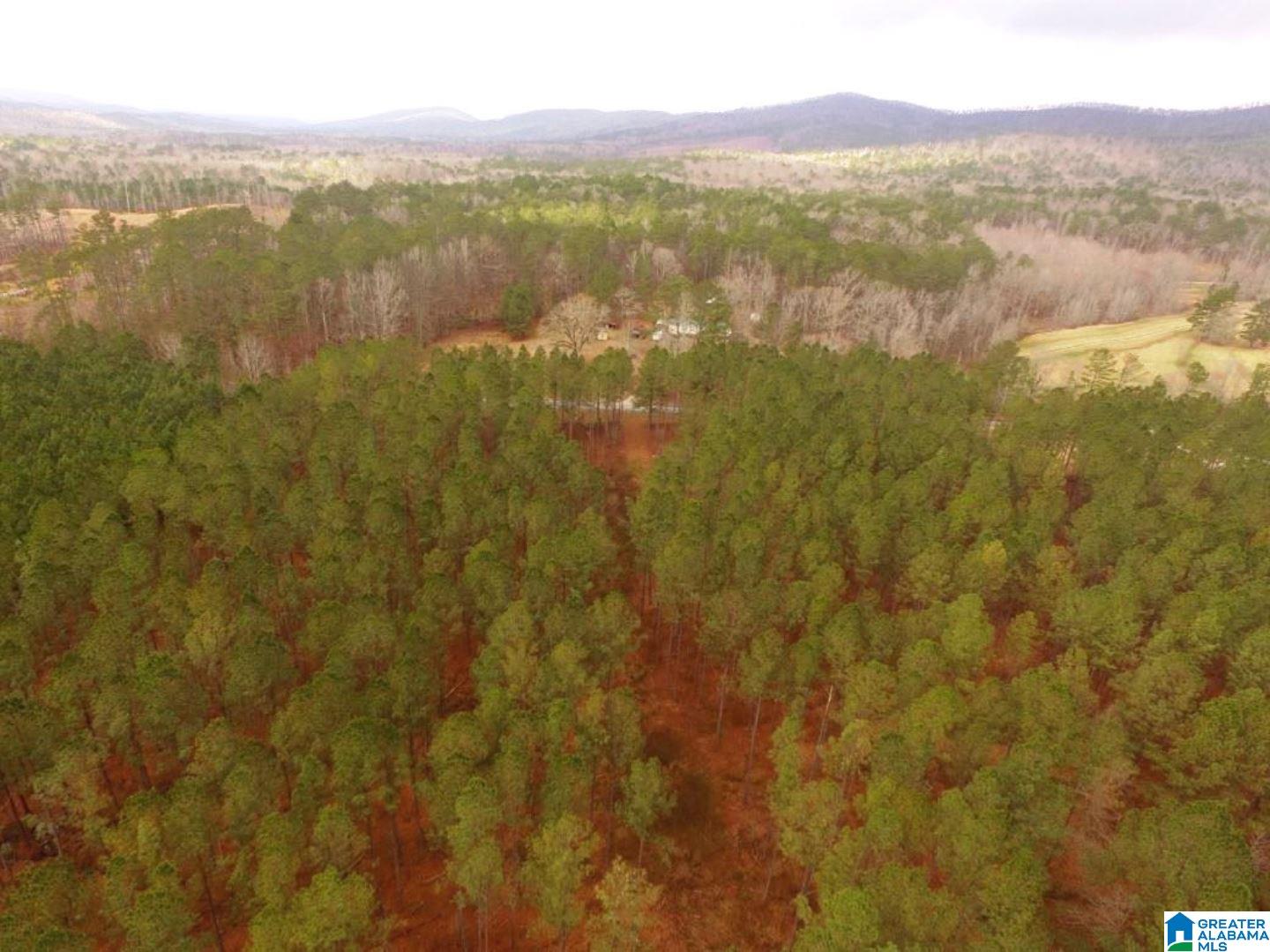 Blue Ridge Road, Unit 30 23 Lineville, AL 36266 - Photo 13 of 19
