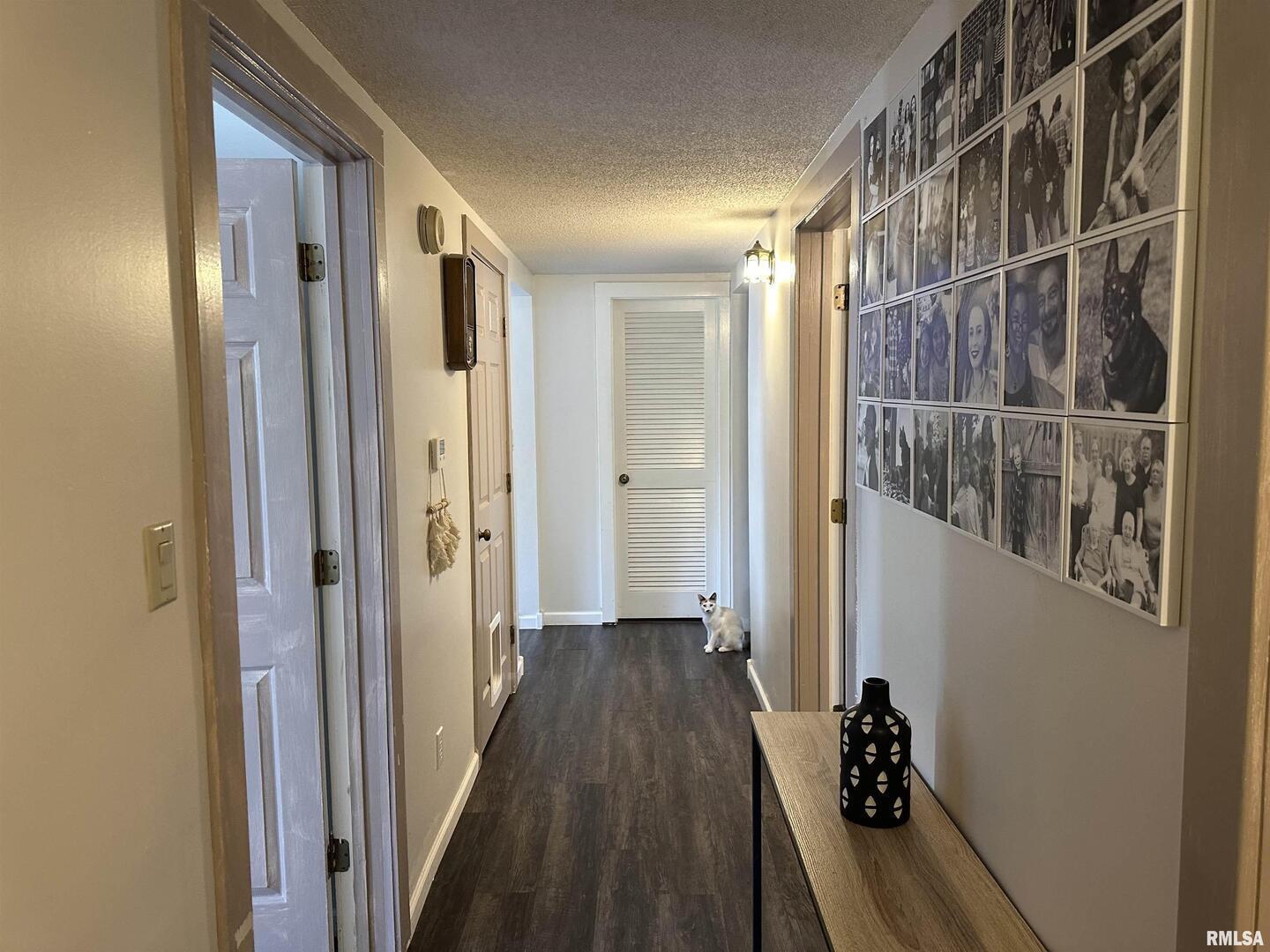 1307 Charles Street Carterville, IL 62918 - Photo 12 of 21 a view of walk in closet with wooden floor