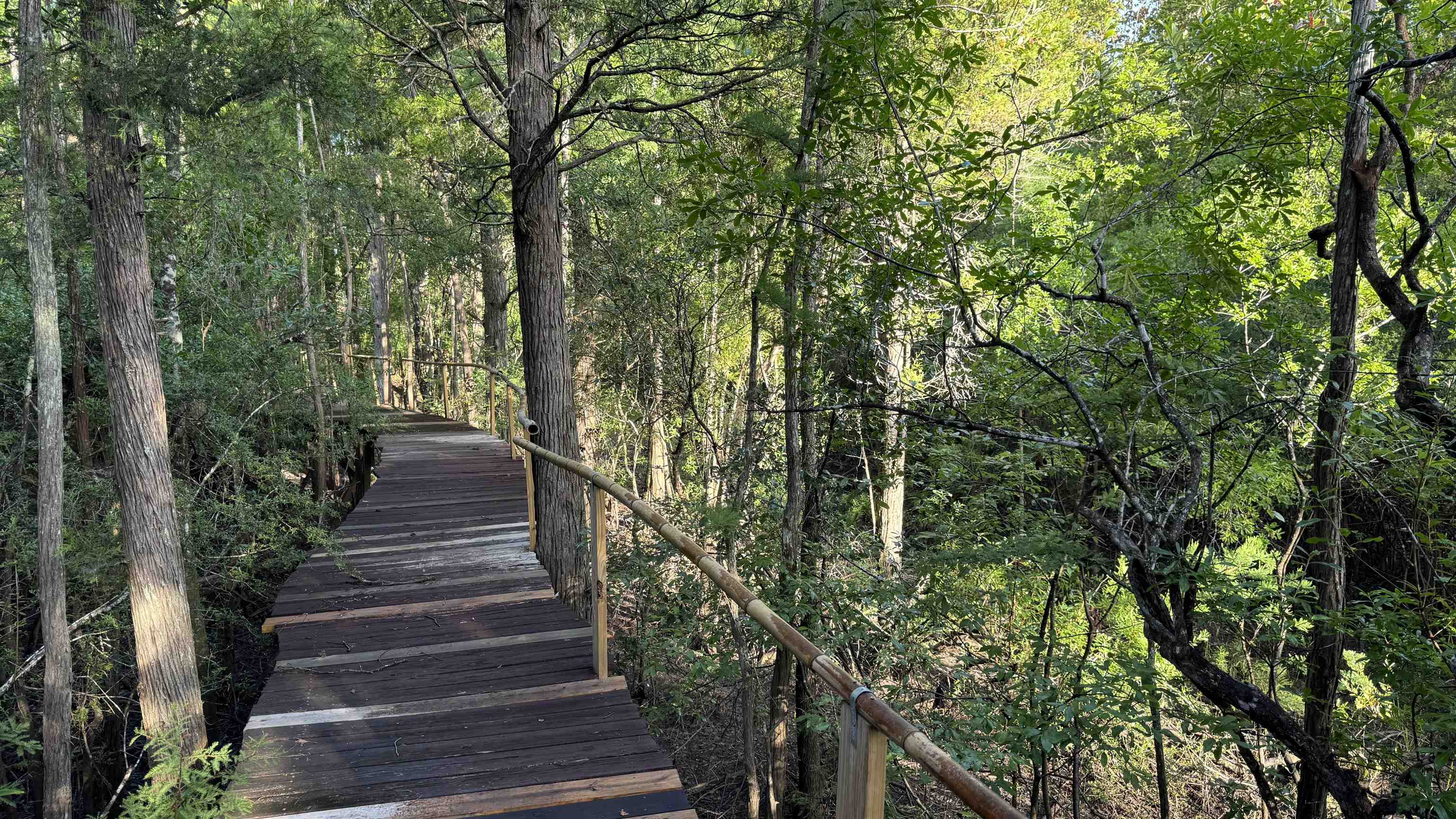 1050 Cedar Creek Landing Road Mount Vernon, AL 36560 - Photo 41 of 59 Community